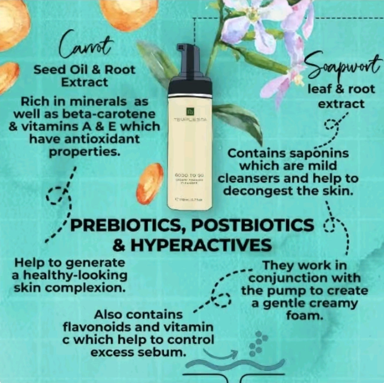 GOOD TO GO Foaming Face Cleanser & Wash