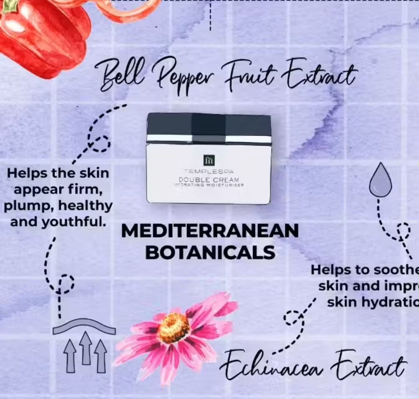 DOUBLE CREAM Dry Skin Face Cream