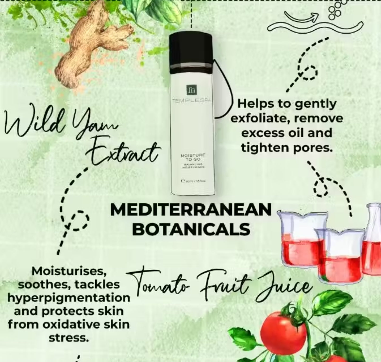 MOISTURE TO GO Moisturiser for Combination Skin