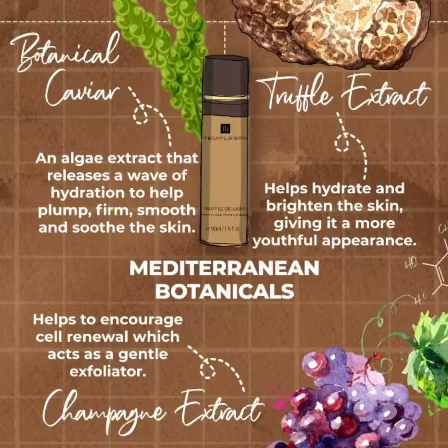 TRUFFLE DE-LIGHT Hydra-gel Moisturiser (50 ml / 1.6 fl.oz.)Anti-Ageing