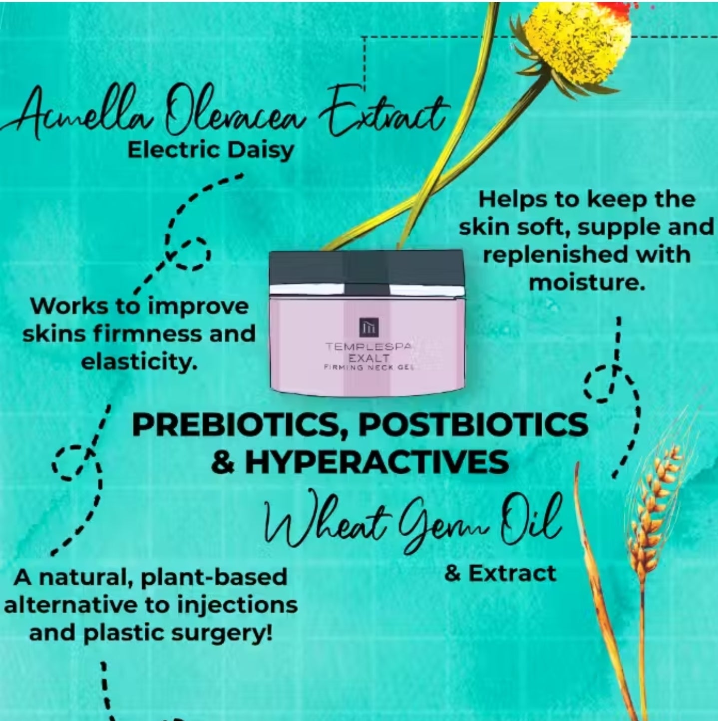 EXALT Neck Firming Cream
(50 ml / 1.6 fl.oz.)