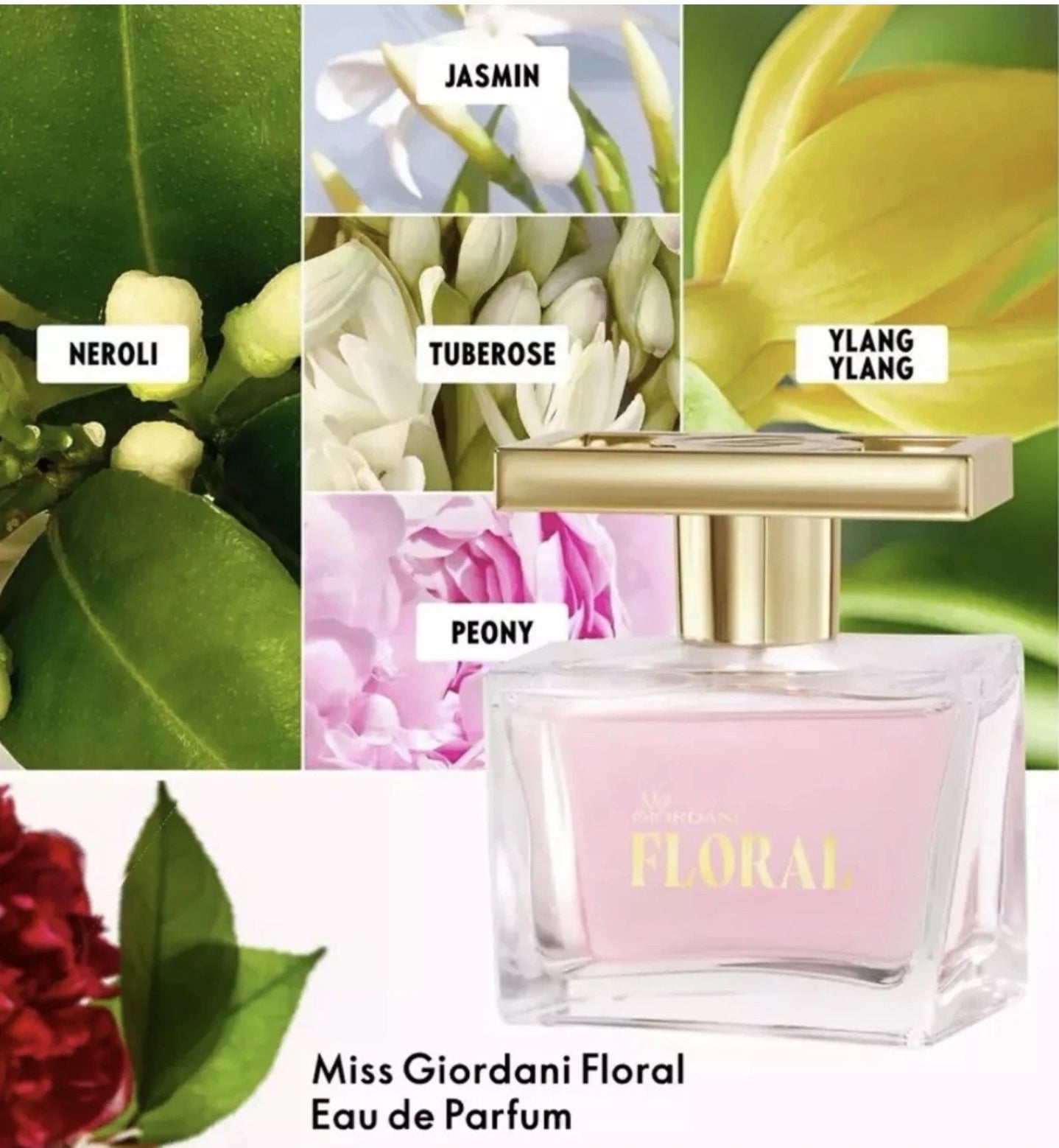 Miss Giordani Floral EDP 50ml