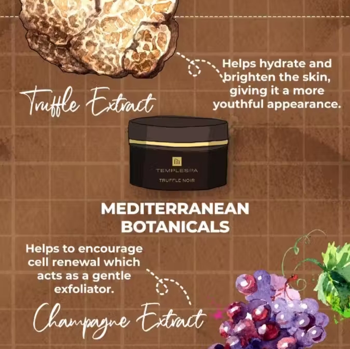 TRUFFLE NOIR 24-Hour Anti-Ageing Moisturiser (50 ml / 1.6 fl.oz.)