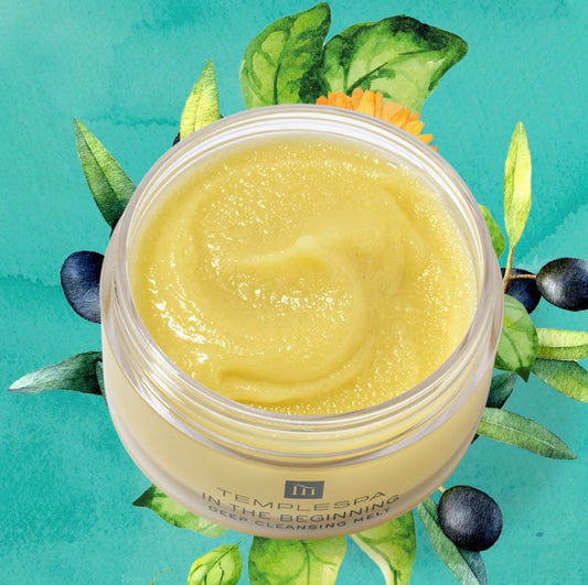 IN THE BEGINNING Deep Pore & Exfoliating Cleanser